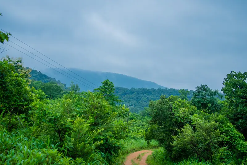 A path through the Kyabobo hills