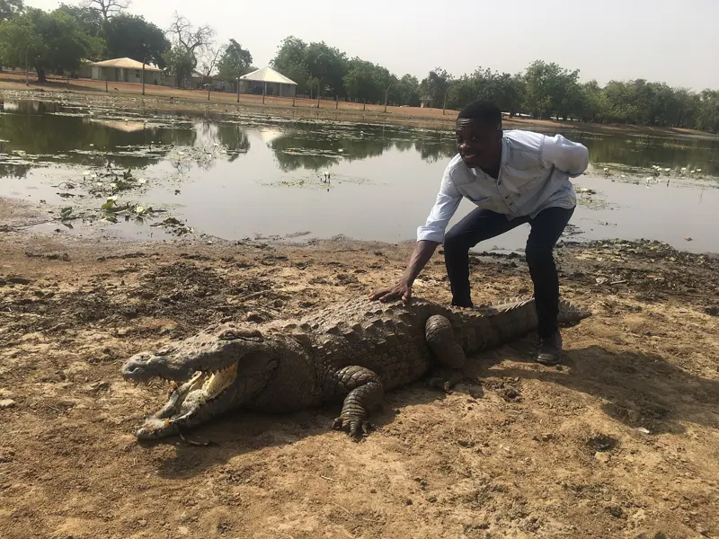 Meeting the crocodiles at Paga