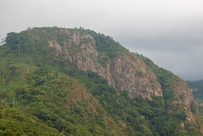 Ridges and forest on Mount Afadja