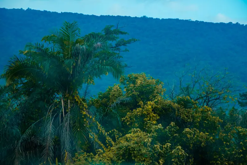Forested hills in Kyabobo National Park