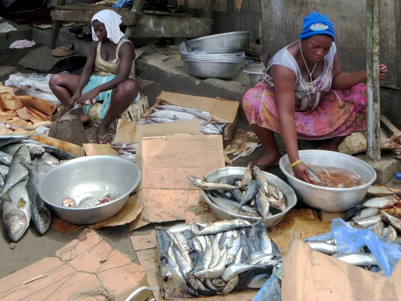 Cleaning fish for smoking in Jamestown