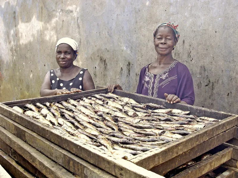 Women drying fish in Takoradi