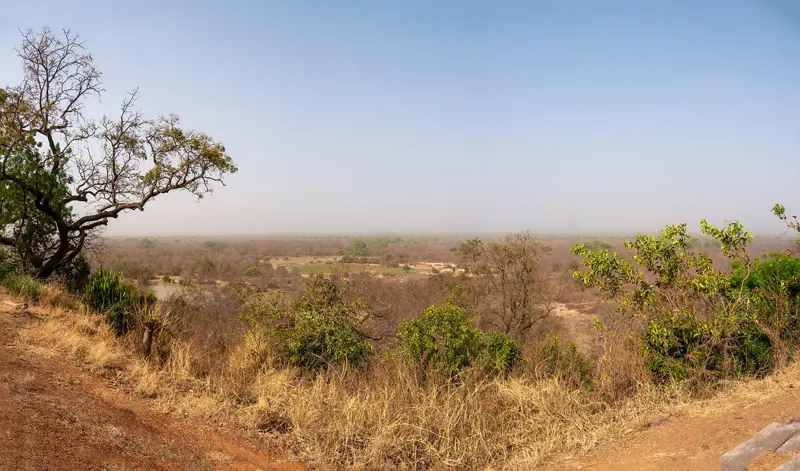 Mole National Park from the escarpment
