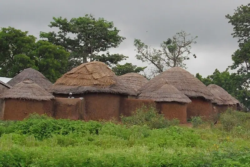 A family compound of round mud-and-thatch houses near Tamale