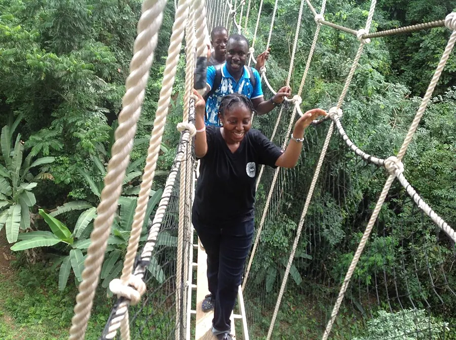 The canopy walkway at Bunso