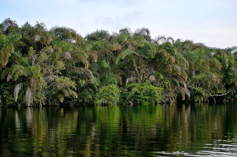 Nzulezu on the Amansuri lagoon
