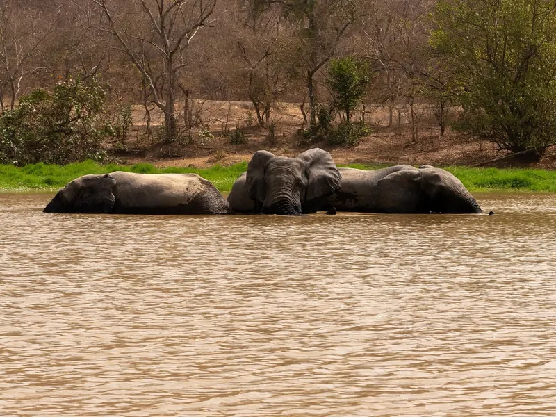 Mole National Park, West Gonja, Savannah Region