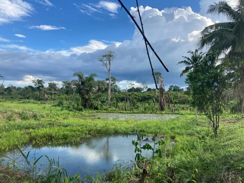 Bia National Park, Western North Region