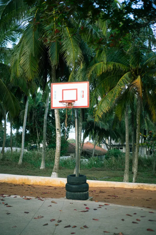 A basketball hoop on a court surrounded by coconut palms in Accra